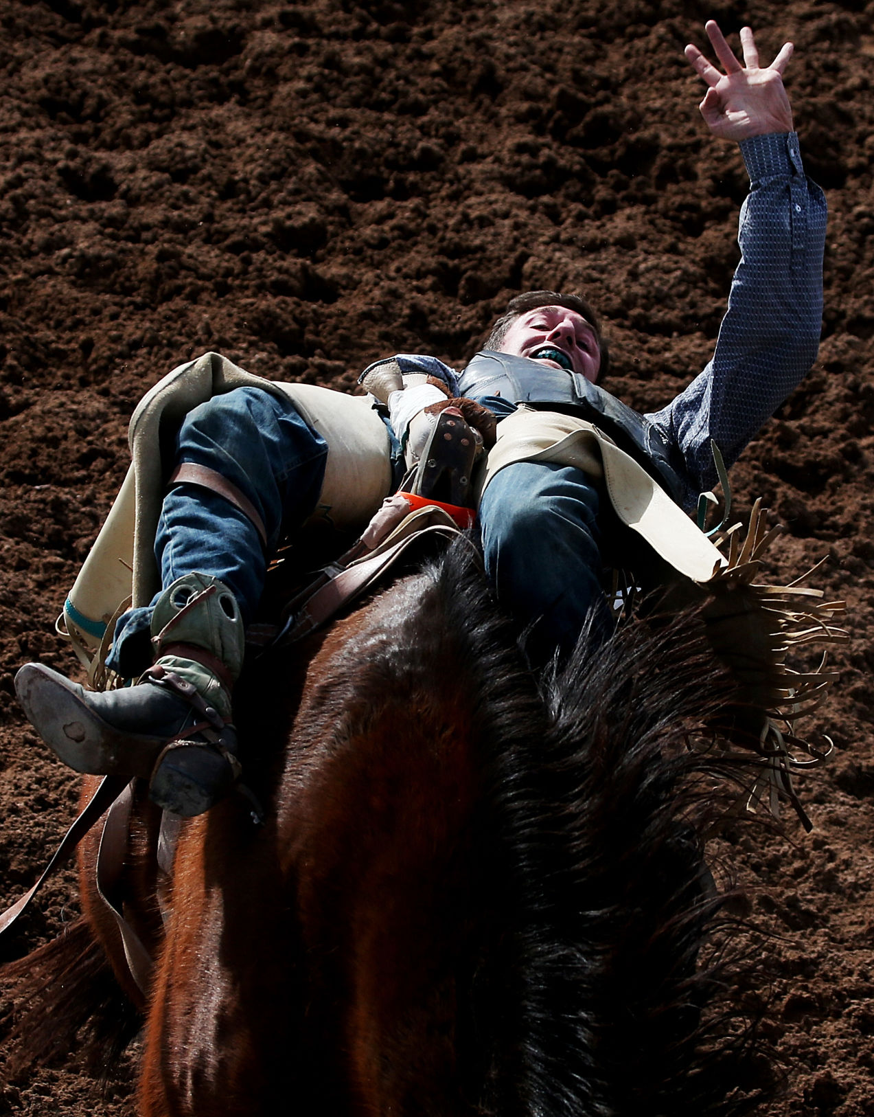 2018 Tucson Rodeo